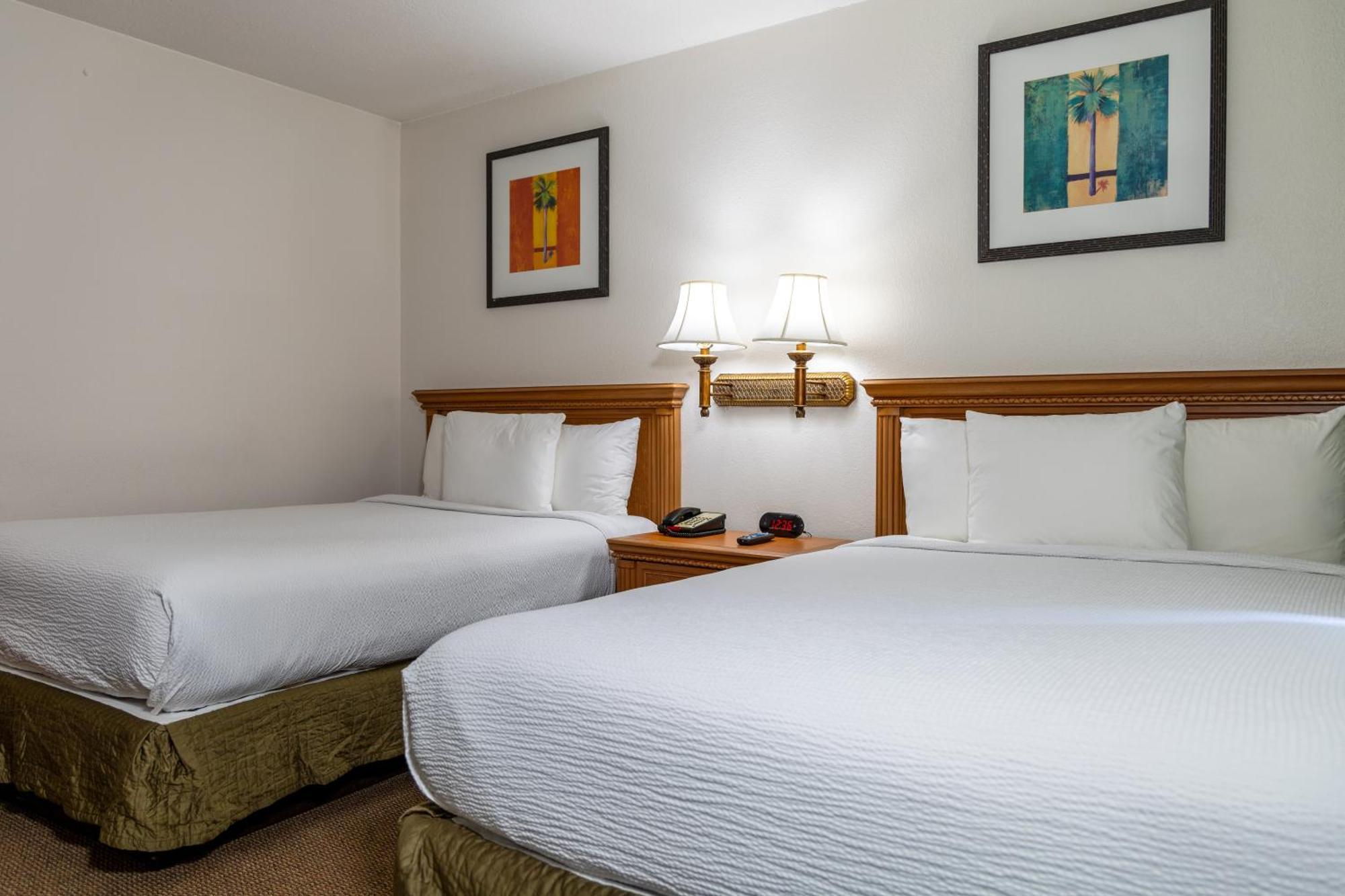 Mini Suite